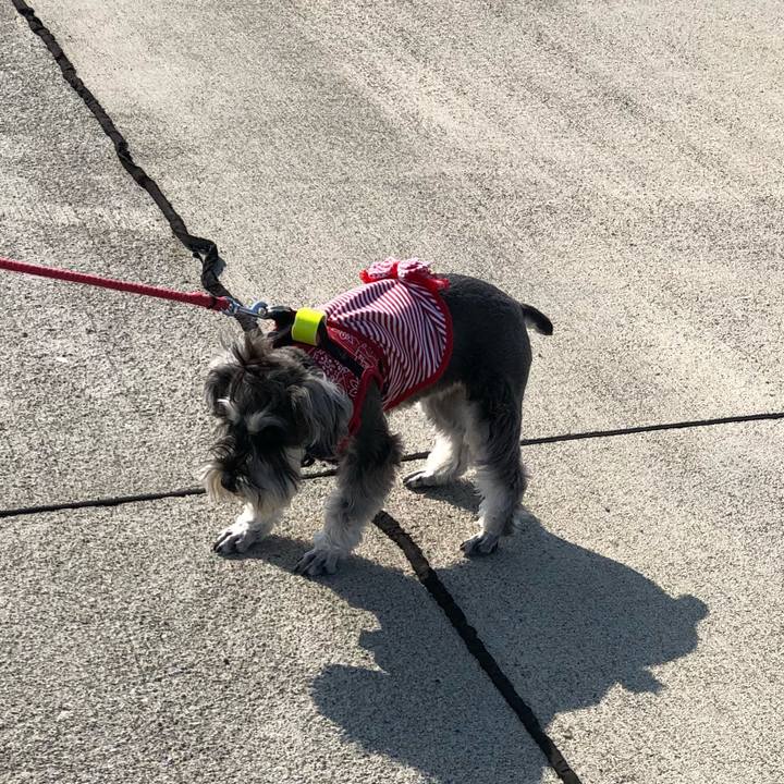 275c976d 588f 4d3c ab99 d00d144690bb 1524903942871