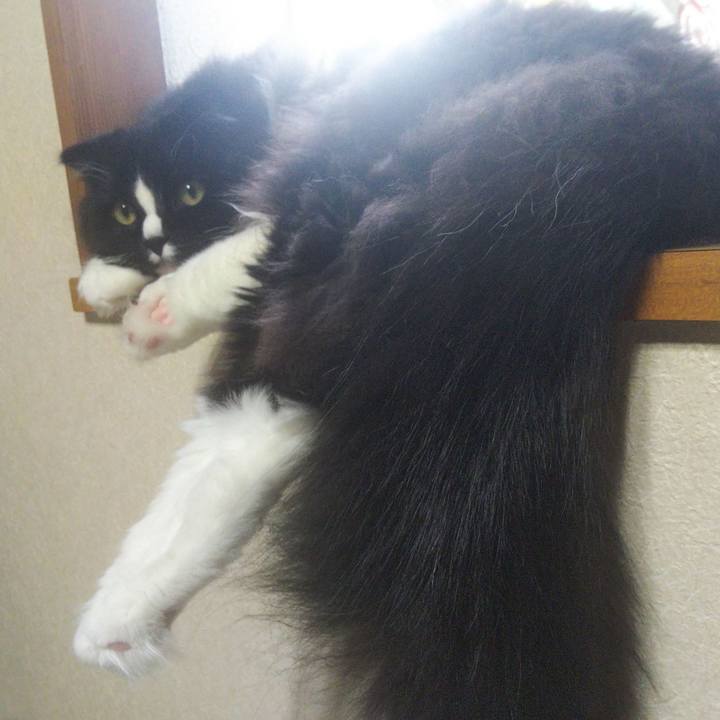 275cb9e3 5d15 433e 9f80 456cfbd3b11c 1659569014939