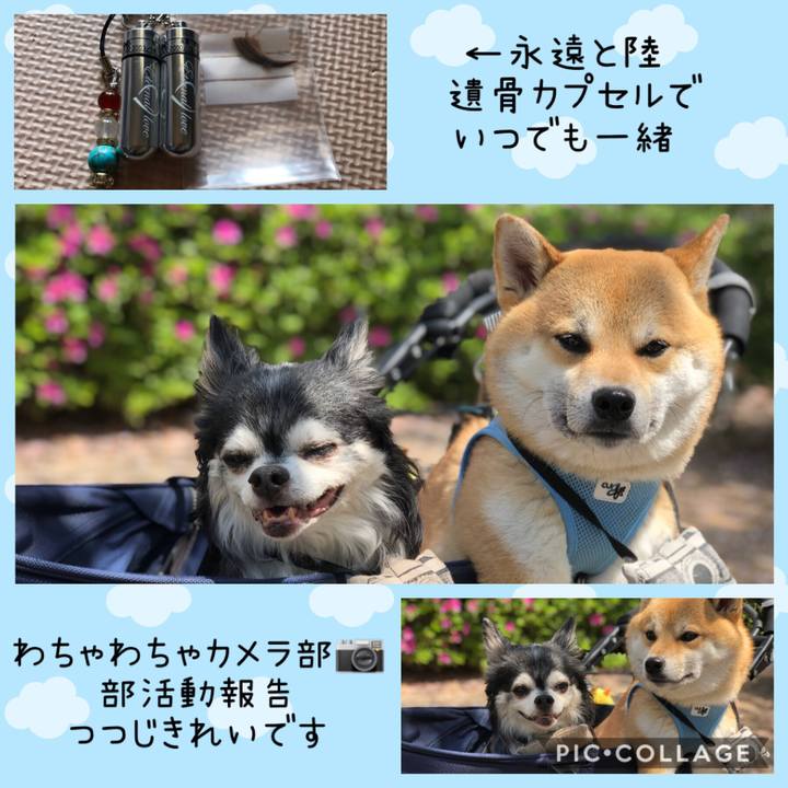275ccb22 f329 49c7 99af c6bfa3e9f9a8 1555301515239