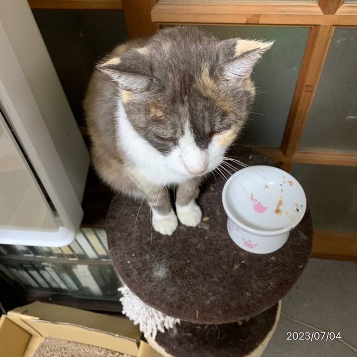 275cccf7 4efb 4c95 90b8 995f5127a37d 1688477641356