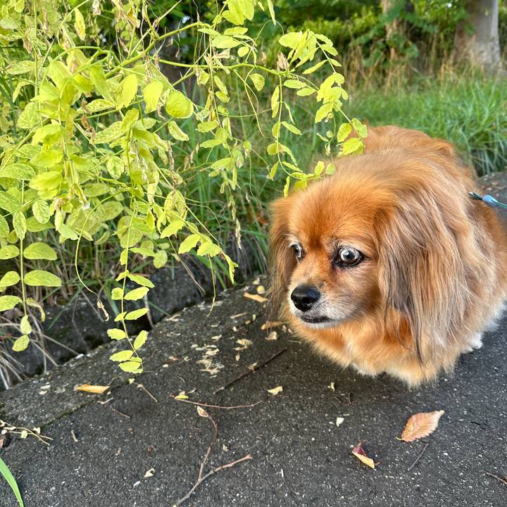 275cd992 0b2d 4267 a49d 3833f3b74138 1753131981531