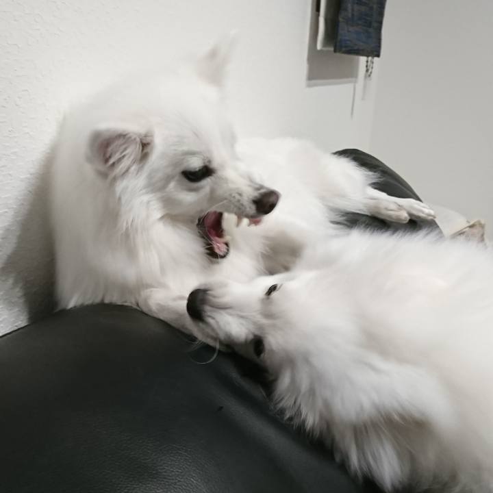 275d172c 63c2 4b4f 99e1 ed0af9fc6083 1552824131307