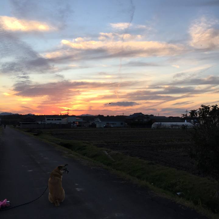 275d18fe 452d 4320 91ad 1c6d0ad1839e 1511607411238