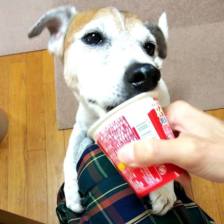 275d4c02 fd5d 4800 b704 5a1b3a92eab1 1535667074469