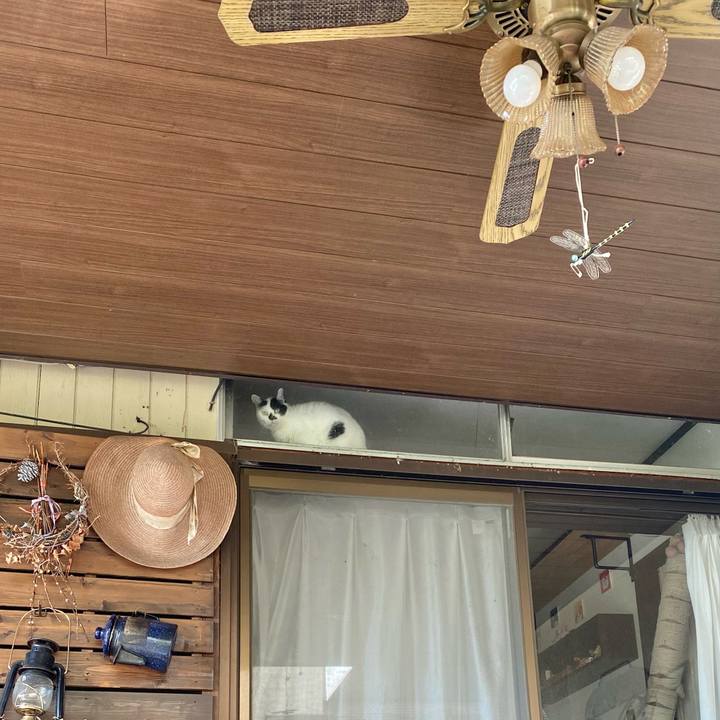 275d7c1a 4624 4212 9aba 3cc6a17fd163 1762838868814