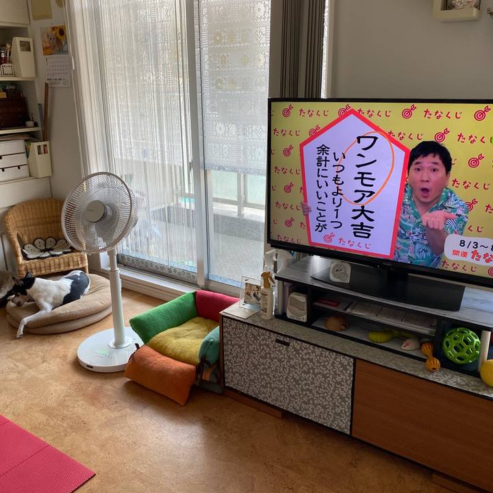 275d9085 c9ff 496e 80ac c6ad58a5b0c9 1596406425092