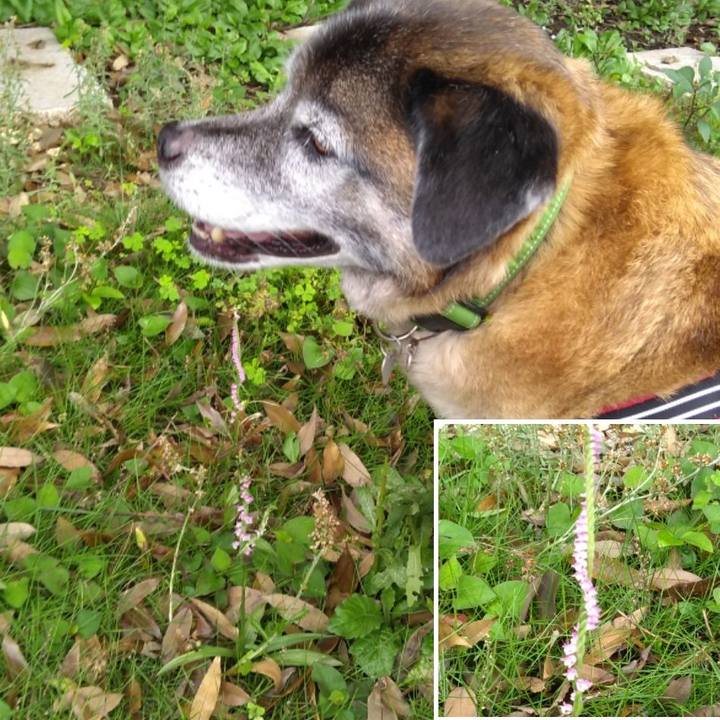 275d9b2f 0ad2 480e 8011 8584a29c1203 1560299005552