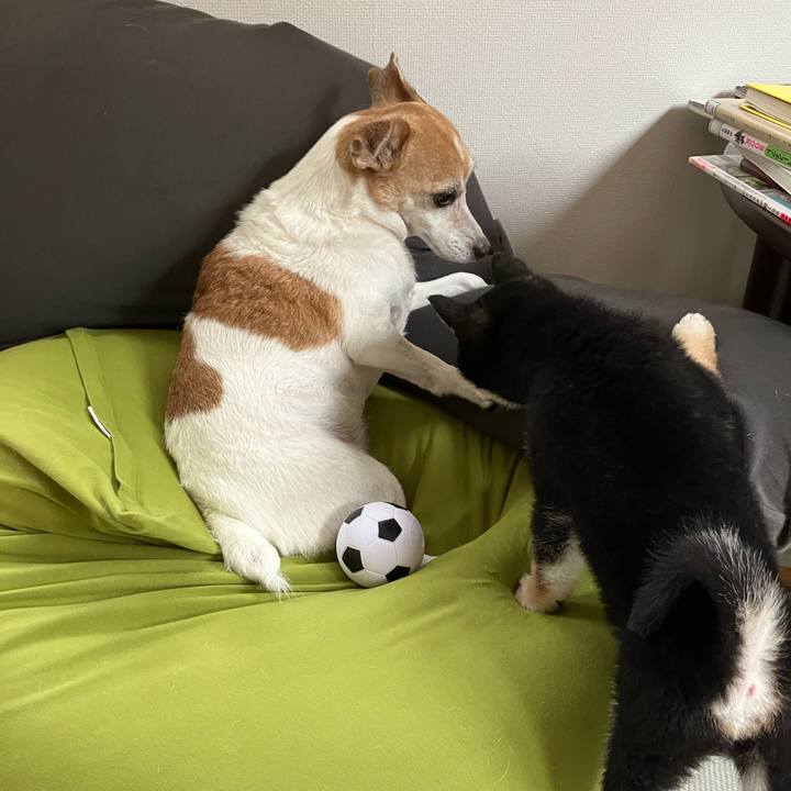 275dc021 03d0 4dfe 9d0f 8190eba1bf65 1775980050288