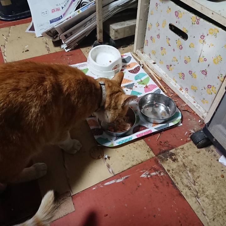 275dc5a7 ea67 454d bee3 d2550deab22e 1588930658776