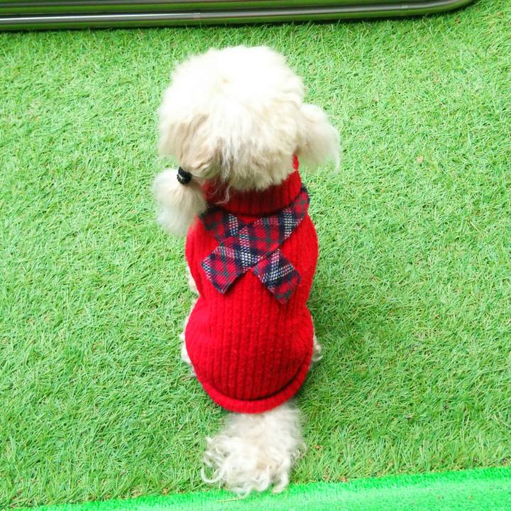 275dca3f 1683 4cad 995e 72a5e411fc83 1543401491281