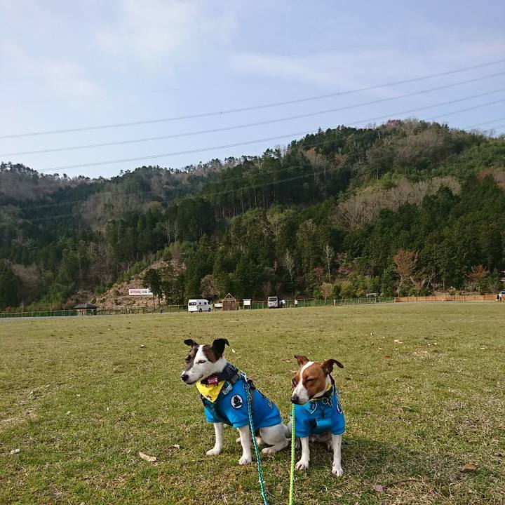 275e56a9 5d94 4649 bf06 d4f54cd326af 1555801462090