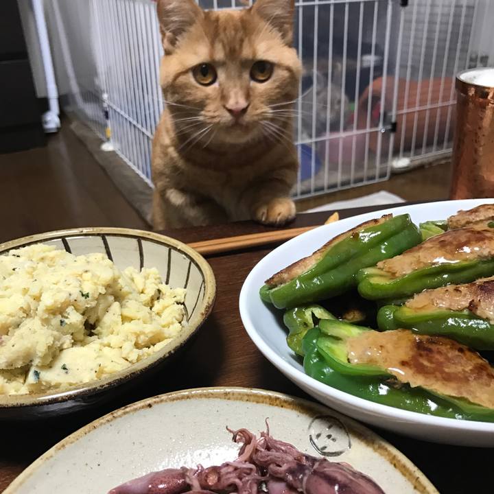 275e6b5c 9923 4913 9720 0d00b6024eb8 1525865204637