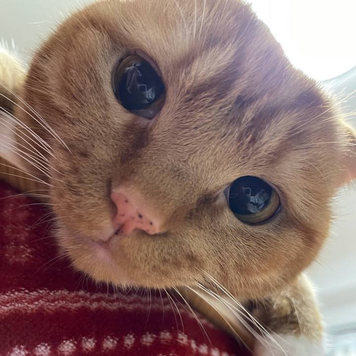 275e70d5 0a33 4c12 ab1d d8ecb7751eaa 1616509970662