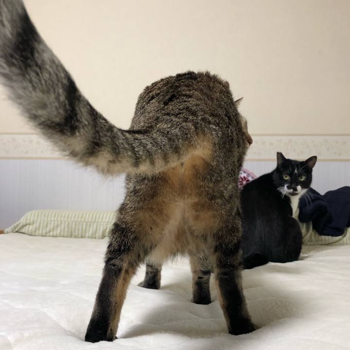 275e73ac 912c 4023 a0b0 2842dca6f2e9 1547928310311