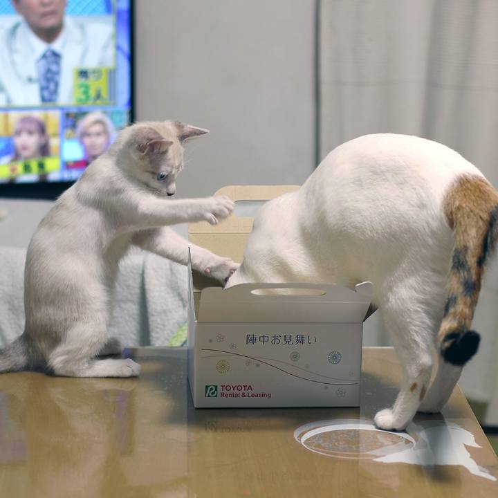 275e80d8 9676 493e 977b 70d8627d4f60 1599909879579