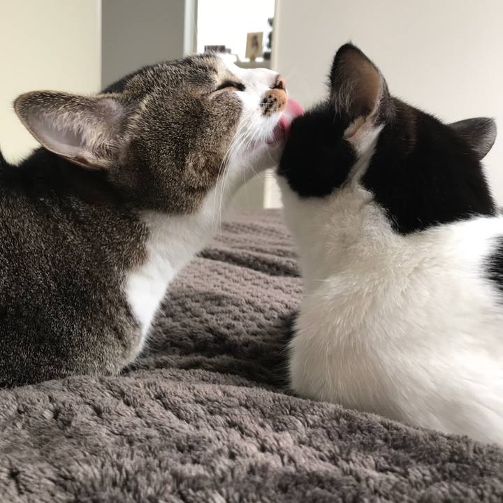 275ea25e dada 4e86 bbfd 8574a210717d 1510542331102