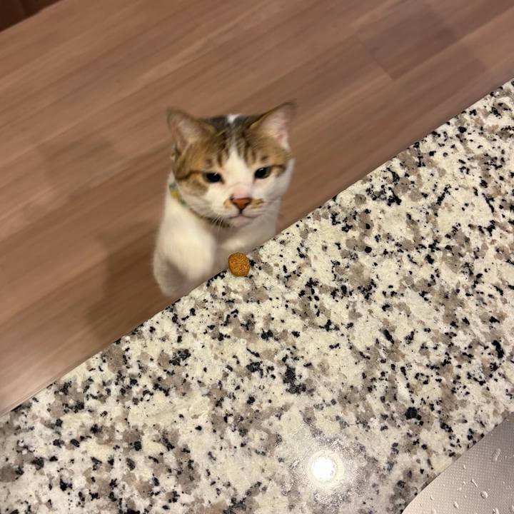 275eaa23 4c59 422c a491 2e4b0cf614c3 1774908205256