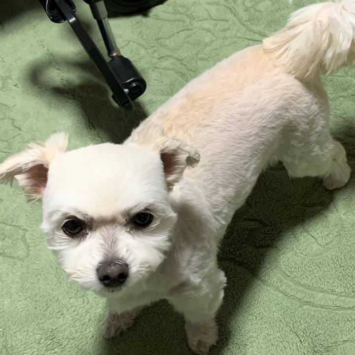 275eb868 73c5 4e79 8ae6 c43fbfb2564b 1573640593225