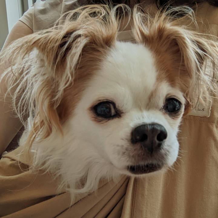 275eea0e 523b 403e a606 613d569a1290 1656033274749