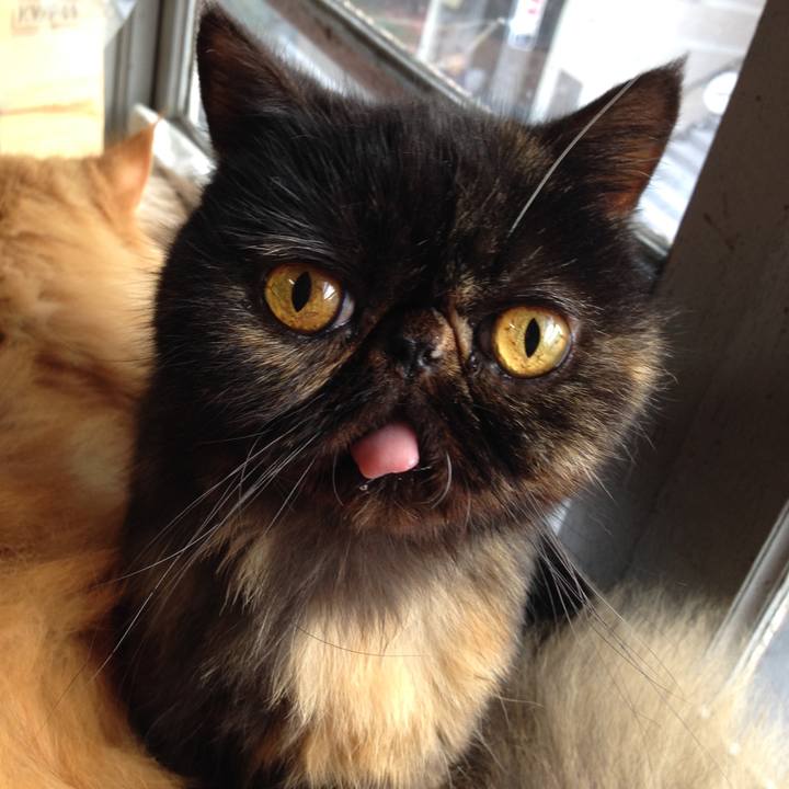 275ef088 6ecf 4075 a246 84c6361bcd66 1645485695371