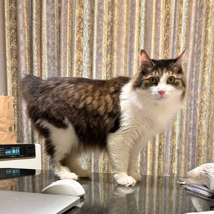 275efab4 fb5b 4e44 89d2 f601b8c5ffc4 1740694719989