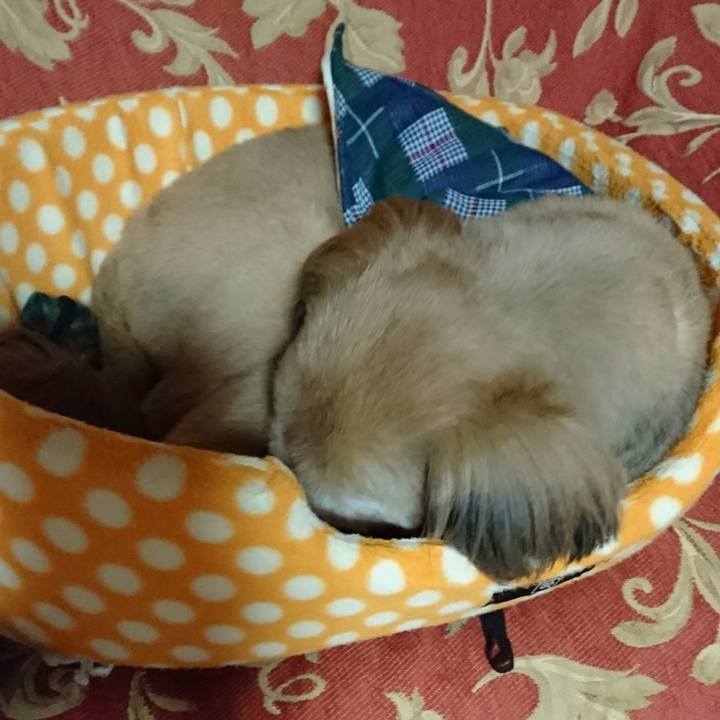 275efe32 9c70 4ecb ad4f a880a7a650e9 1517495043670