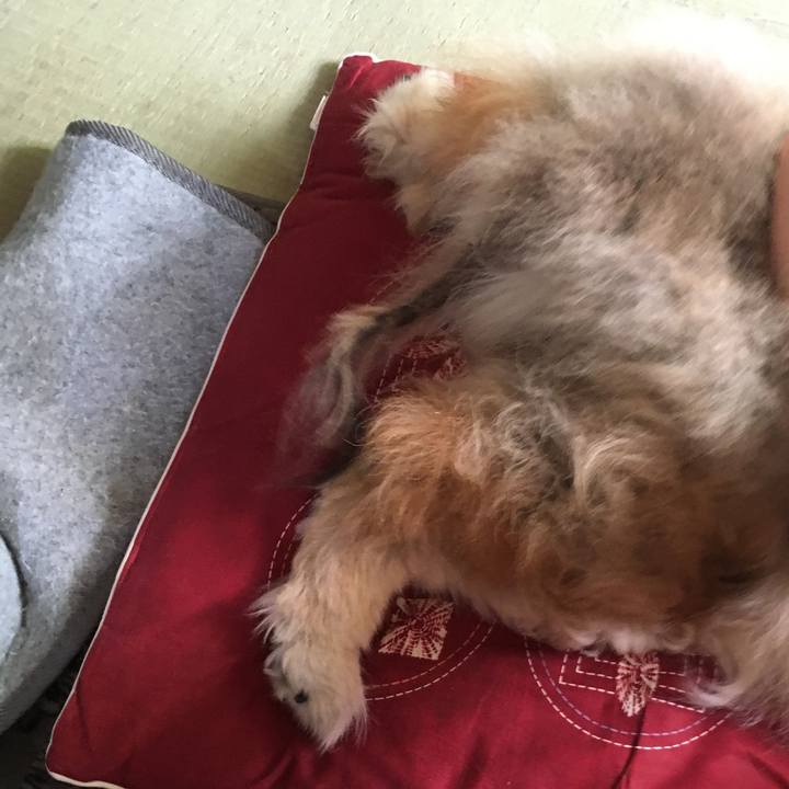 275f40c9 3f88 469f a86b 680812365b14 1572901695925