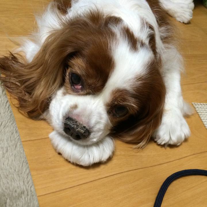 275f4983 c0a2 4c75 b51b befebb36b3ab 1513165281477