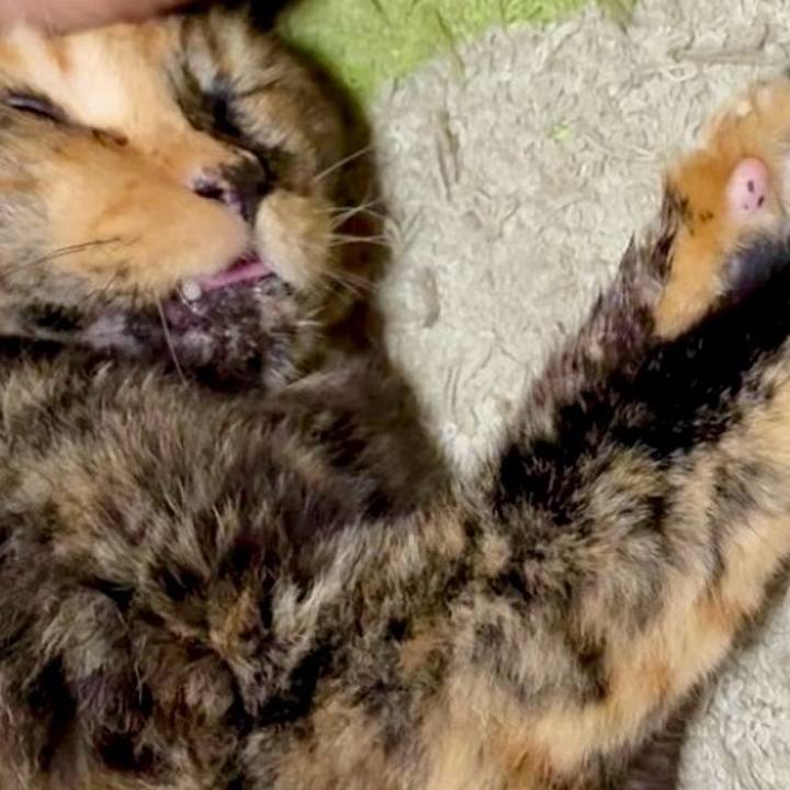 275f69c5 e9dc 4029 8311 80a35be1a9c9 1758276555990