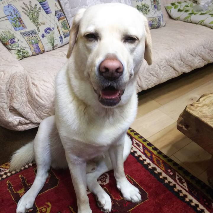 275f97f3 b9d7 4bd4 817d 428dbcfae57a 1560157253489