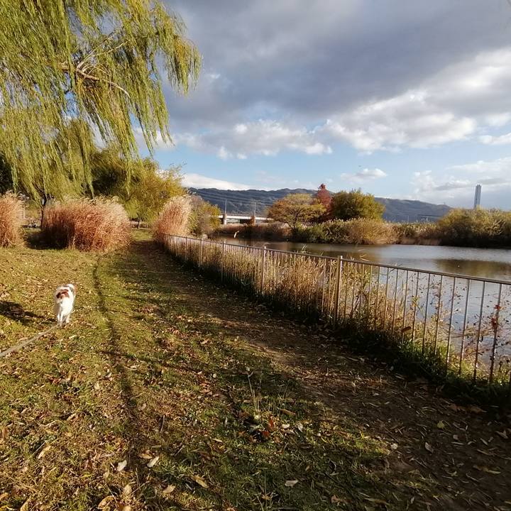 276031d4 4aa9 4a1e b7d6 6a511f5b0e33 1576152730039