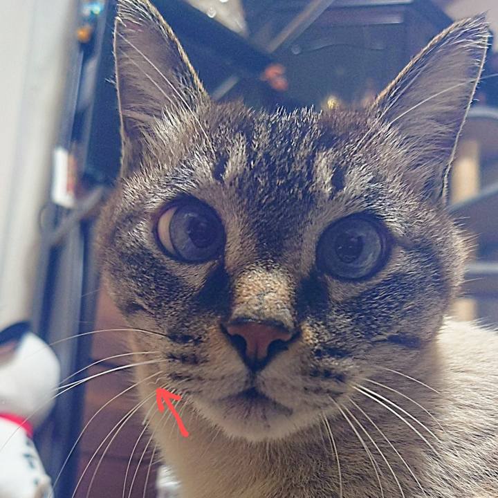 2760352e b470 4a3a 84e3 799f20d1cb18 1708007501948