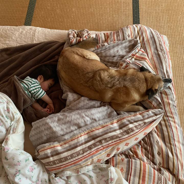 27609869 9fd1 4619 9fb2 e502dd9f4286 1556596682208