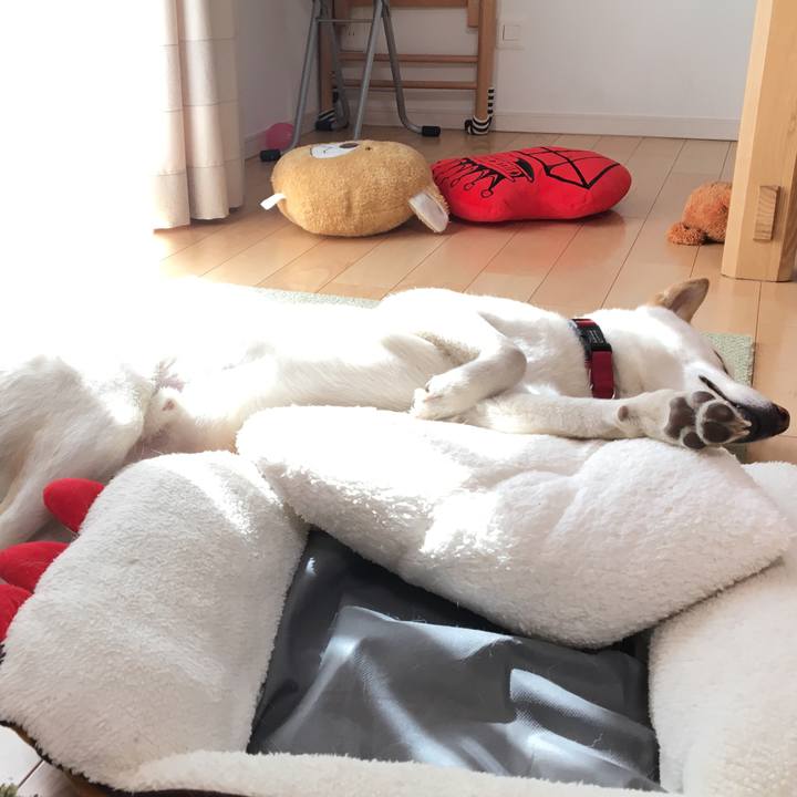 2760ba28 3bd3 4294 a1e6 c0cdf4feab26 1519783462221