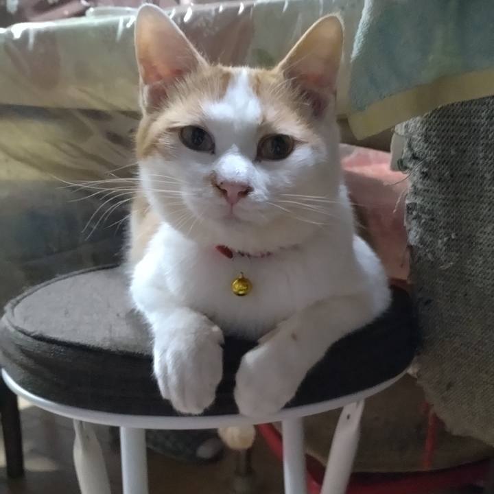 2760c78a 4a91 4089 be52 f157a943e074 1741950293297