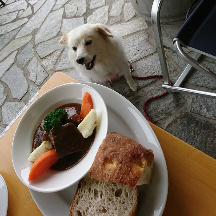 2760eb6d 8ffb 4255 84a6 09d12455ee32 1508907429851