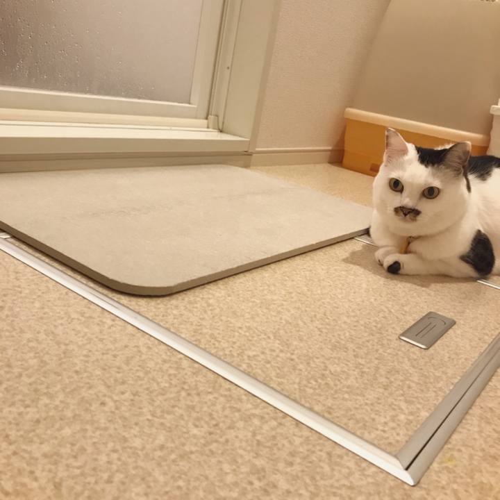 2761659f 3611 466b 8e7a 733a3089a2d1 1537946701694