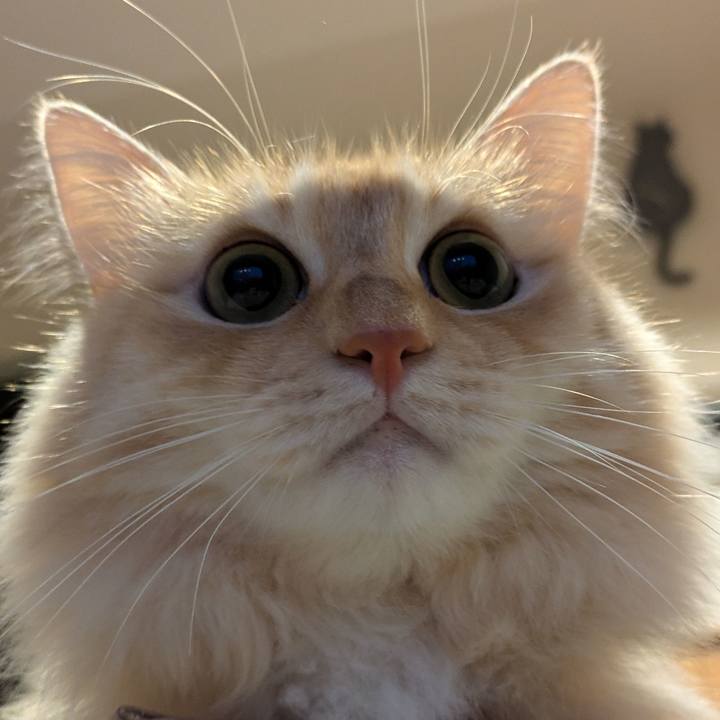 276170bd 0c9d 41f3 8b10 69495e674c67 1730533780653