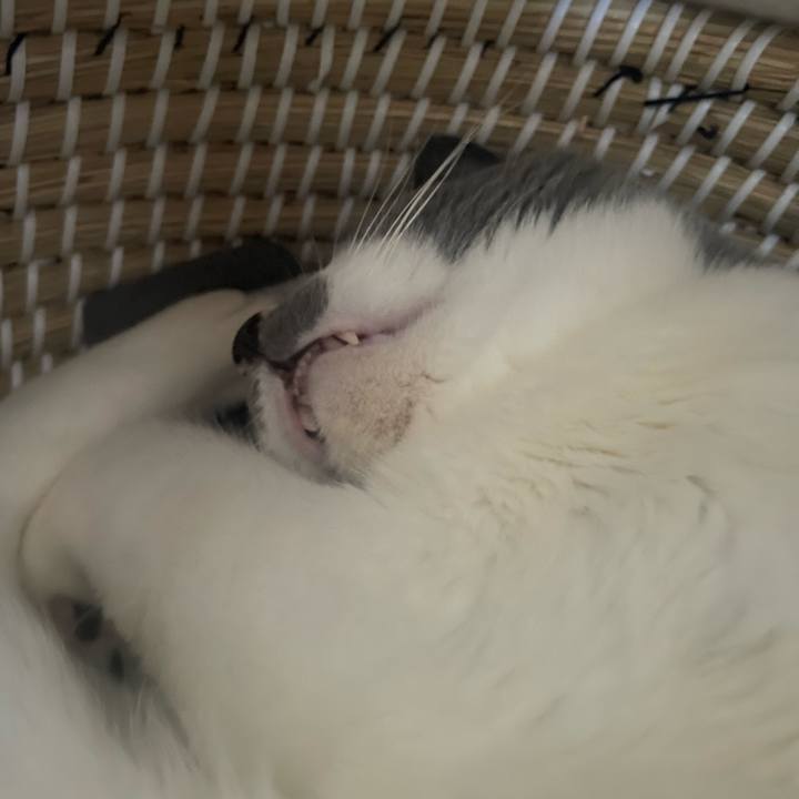 2761877b b8ad 4a9c 80ed 02f979e82285 1716275092653