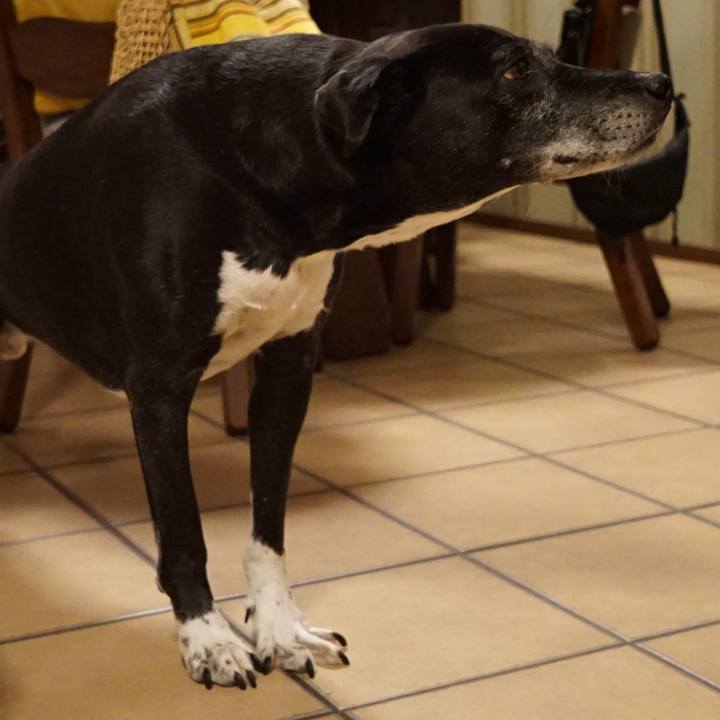 27618f47 6d03 475b 960a 7065e9340f52 1760007740175