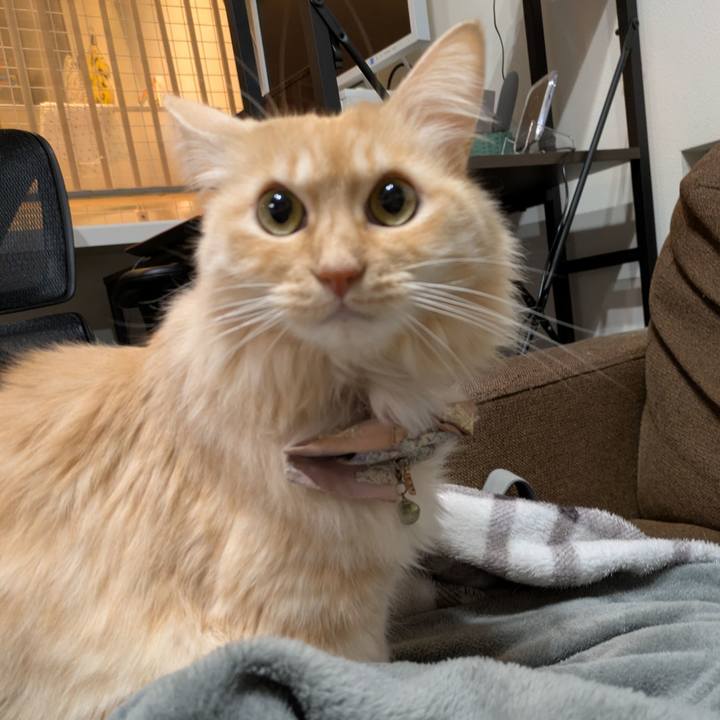 27619f7e e545 427d 950e 06d8e6d60bbc 1736858962946