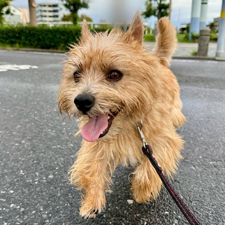 2761a9cb 58ec 4ce8 b94a cb06af0a1e13 1758343101830