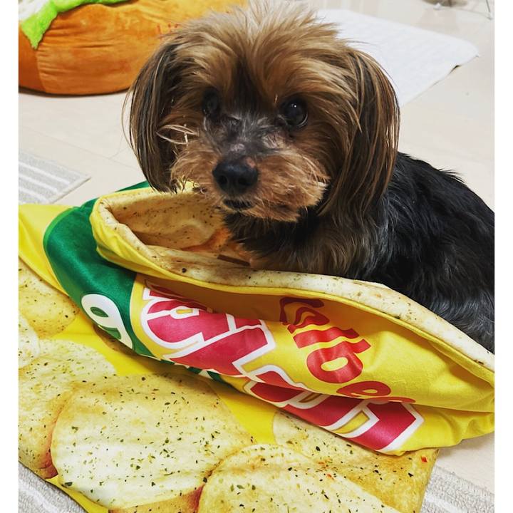 2761b03e 8d4c 4708 96b4 8ce73641421a 1691978451691