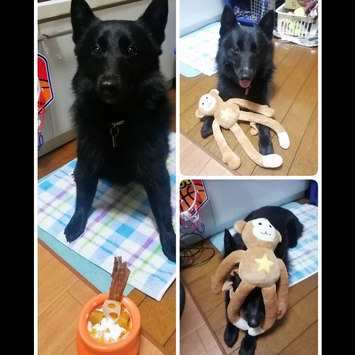 2761c087 5bef 4cc4 97a5 879b1a7878ca 1663244480596