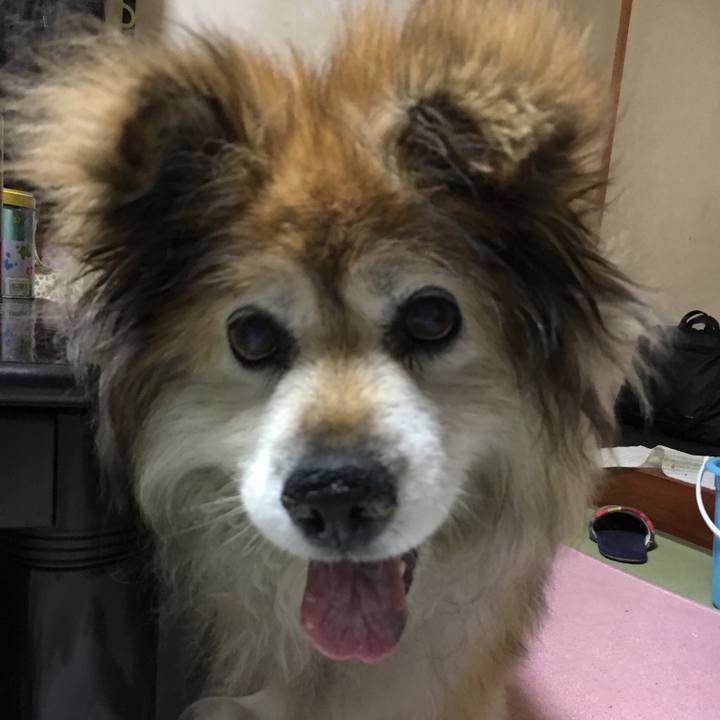 2761d008 70ae 4182 a581 4f9d445d0045 1576631213981