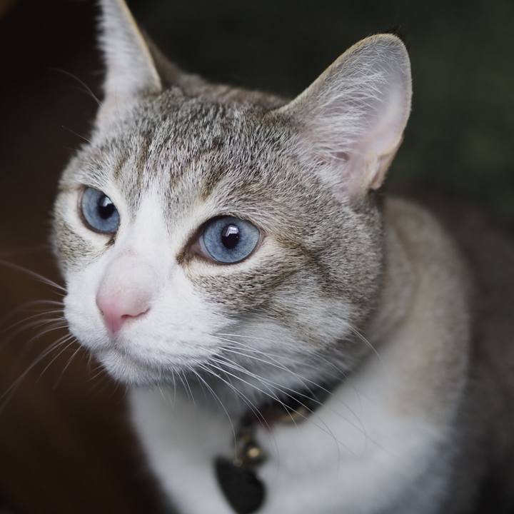 27621746 8bba 4780 b3cd 02986096e365 1652930973755