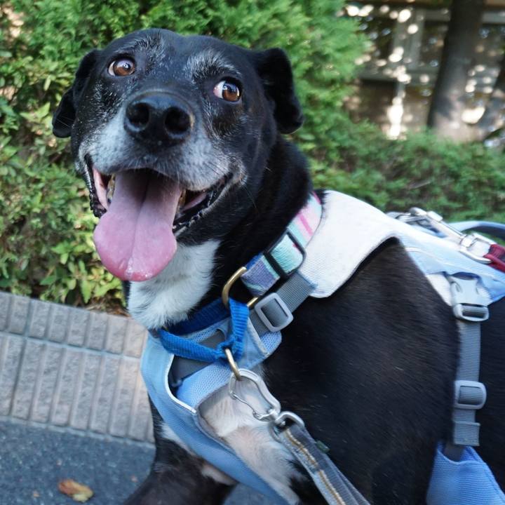 27625e1c f5e2 46ab ab20 d532cabefda5 1756770559549