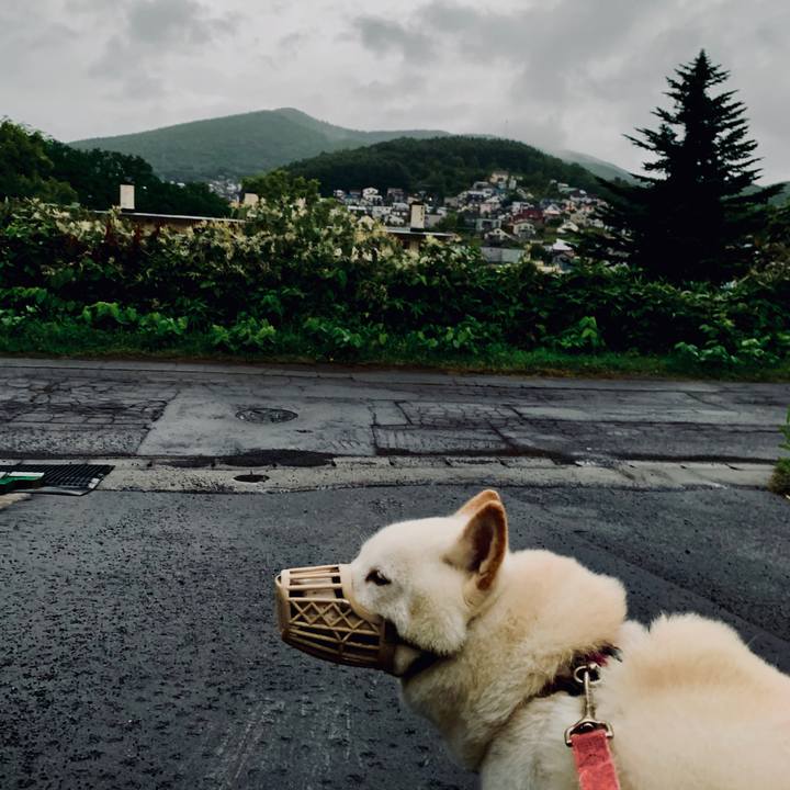 27626891 803d 4a0a 832e 83220bfcf992 1598734258244