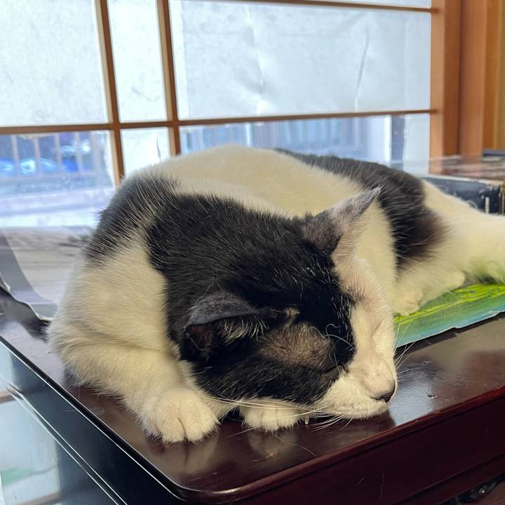 27626f2d 34b2 4317 805f 9e9e3f81598f 1755643594796