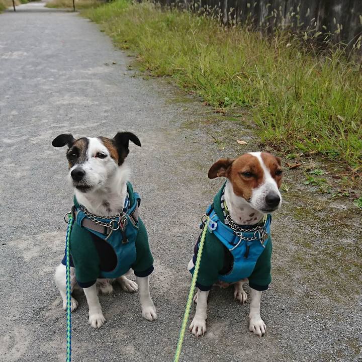 2762711c 079c 40f8 906f c1f1aa0897b7 1604016466755